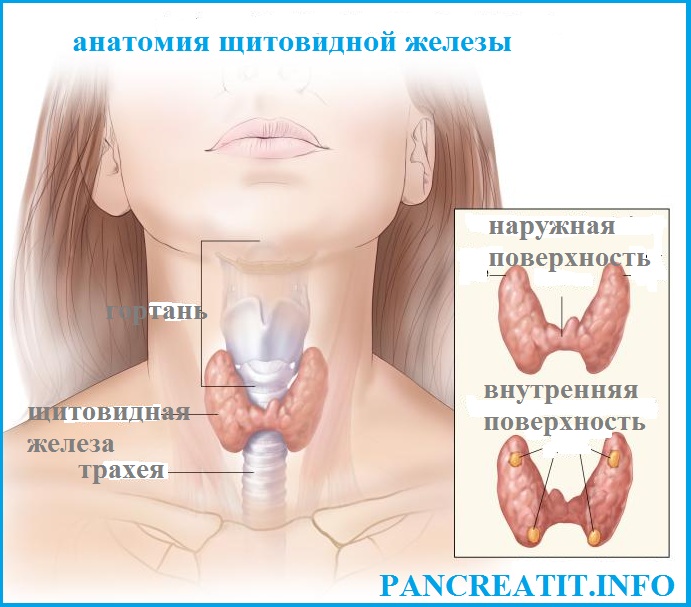 Молитва на лечение узлов на щитовидной железе